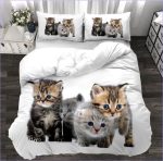 Housse de Couette portée de Chatons - couettedouillette