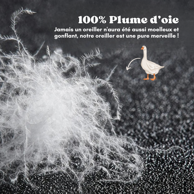 Oreillers de luxe hôteliers en coton et plumes d'oie – Image 8